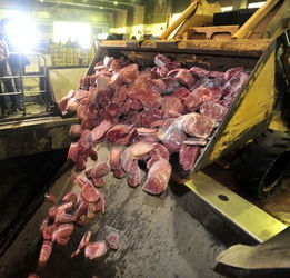 台北市销毁6700多公斤含瘦肉精美国牛肉